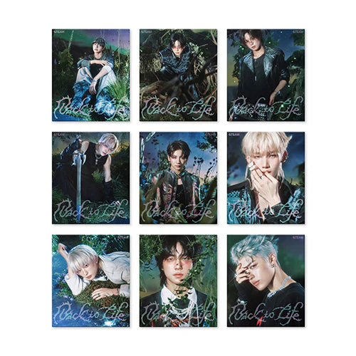 &TEAM - BACK TO LIFE KR 1ST MINI ALBUM ROAR VER RANDOM